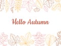 Sketch autumn leaves background. Fall leaf banner, colorful drawing foliage. Forest nature of november october botanical Royalty Free Stock Photo