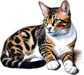 A sketch of a Bengal cat. AI-Generated. Royalty Free Stock Photo
