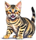 A sketch of a Bengal cat. AI-Generated. Royalty Free Stock Photo