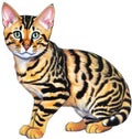 A sketch of a Bengal cat. AI-Generated. Royalty Free Stock Photo