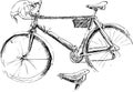 Sketch of bicycle