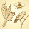 Sketch birds and bee in vintage style