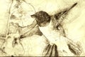 Sketch of a Black-Chinned Hummingbird Searching for Nectar Among the Orange Flowers