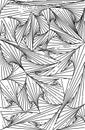 Sketch of black cobweb line of spider on white paper abstract