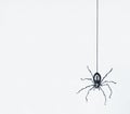 Sketch of a black spider drawn in black china dangling