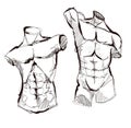 Sketch. Bodybuilding And Powerlifting. Vector Torso of the statue Royalty Free Stock Photo