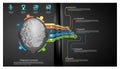 Sketch brain - Creativity modern Idea and Concept illustration- infographic template.