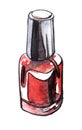 Sketch of bubble red nail polish. Real watercolor. hand drawn il