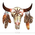 Sketch Buffalo Skull With Feathers