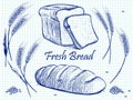 Sketch bunch of wheat ears, bread and grains. Vector bakery illustration on notebook page