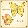 Sketch butterfly set in vintage style