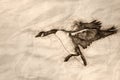 Sketch of a Canada Goose Landing on the Snowy Winter River