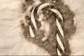 Sketch of a Candy Cane Christmas Ornament Decorating an Outdoor Tree