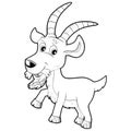 sketch cartoon scene with funny looking farm goat smiling illustration for children Royalty Free Stock Photo