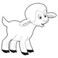 sketch cartoon scene with funny looking farm sheep smiling illustration for children