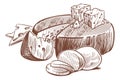 Sketch cheese. Art compositions with different types cheeses, whole, half and slices, maasdam and gouda, mozzarella and