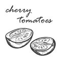 Sketch of cherry tomatoes cut in half. Hand drawn and isolated on white. Decorative element for menu design, recipes, cooking Royalty Free Stock Photo