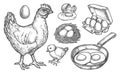 Sketch chicken products and farm poultry eggs Royalty Free Stock Photo
