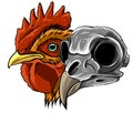 Sketch Chicken Skull vector and artwork illustration