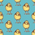 Sketch chiken pattern