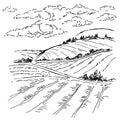 Landscape ink sketch drawing. Rural mediterranean engraved landscape with plowed fields, cypresses and pine tree.