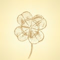 Sketch clover, vector background, saint Patrick day