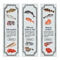 Sketch Colored Seafood Vertical Banners
