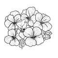 sketch contour bouquet of pansy flowers, Sketch violet flower drawing, flower cluster drawing, Easy flower coloring pages Royalty Free Stock Photo