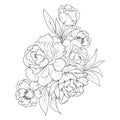 sketch contour bouquet of peony flowers, Sketch peony flower drawing, flower cluster drawing, detailed flower coloring pages,