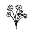 Sketch contour of hand drawing daisy flower bouquet with several ramifications Royalty Free Stock Photo