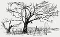 Sketch Of Countryside Winter Landscape With Silhouettes Deciduous Bare Trees