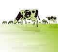 Sketch of Cows Grazing in a Pasture