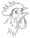 Sketch of a Crowing Rooster