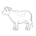 Sketch of a cute cow, coloring book, isolated object on white background, cartoon illustration, vector illustration Royalty Free Stock Photo