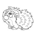Sketch, cute hedgehog character looking up puzzled, coloring book, cartoon illustration, isolated object on white background, Royalty Free Stock Photo