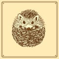 Sketch cute hedgehog in vintage style