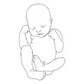 Line art. Newborn illustration. Hand drawn vector lying kid isolated on white background Royalty Free Stock Photo