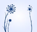 The sketch of dandelion Flowers.