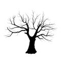Sketch of dead tree without leaves , isolated on w Royalty Free Stock Photo