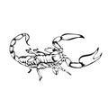 Simple design of illustration scorpion