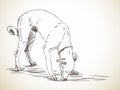 Sketch of dog sniffs the ground