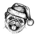 Sketch Dog Pug in Santa Claus hat.