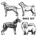Sketch Dogs Portrait Set Royalty Free Stock Photo