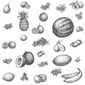 Sketch doodle hand-drawn set fruit Royalty Free Stock Photo