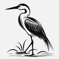 Sketch drawing of a heron bird isolated on white background. Drawing of a gray heron. One bird. Coloring book page for