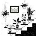 Sketch drawing interior room, potted flowers, hand sketch with contour lines. Vector illustration