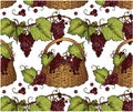 Sketch drawing pattern of red bunch of grapes with green leaves in basket isolated on white background. Royalty Free Stock Photo