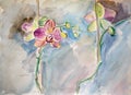 Sketch drawing pink Orchids watercolor and graphite pencil