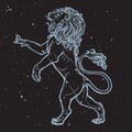 Sketch drawing of rearing lion isolated on nightsky background. Royalty Free Stock Photo