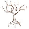 Sketch drawing of the tree in brown color, vector or color illustration